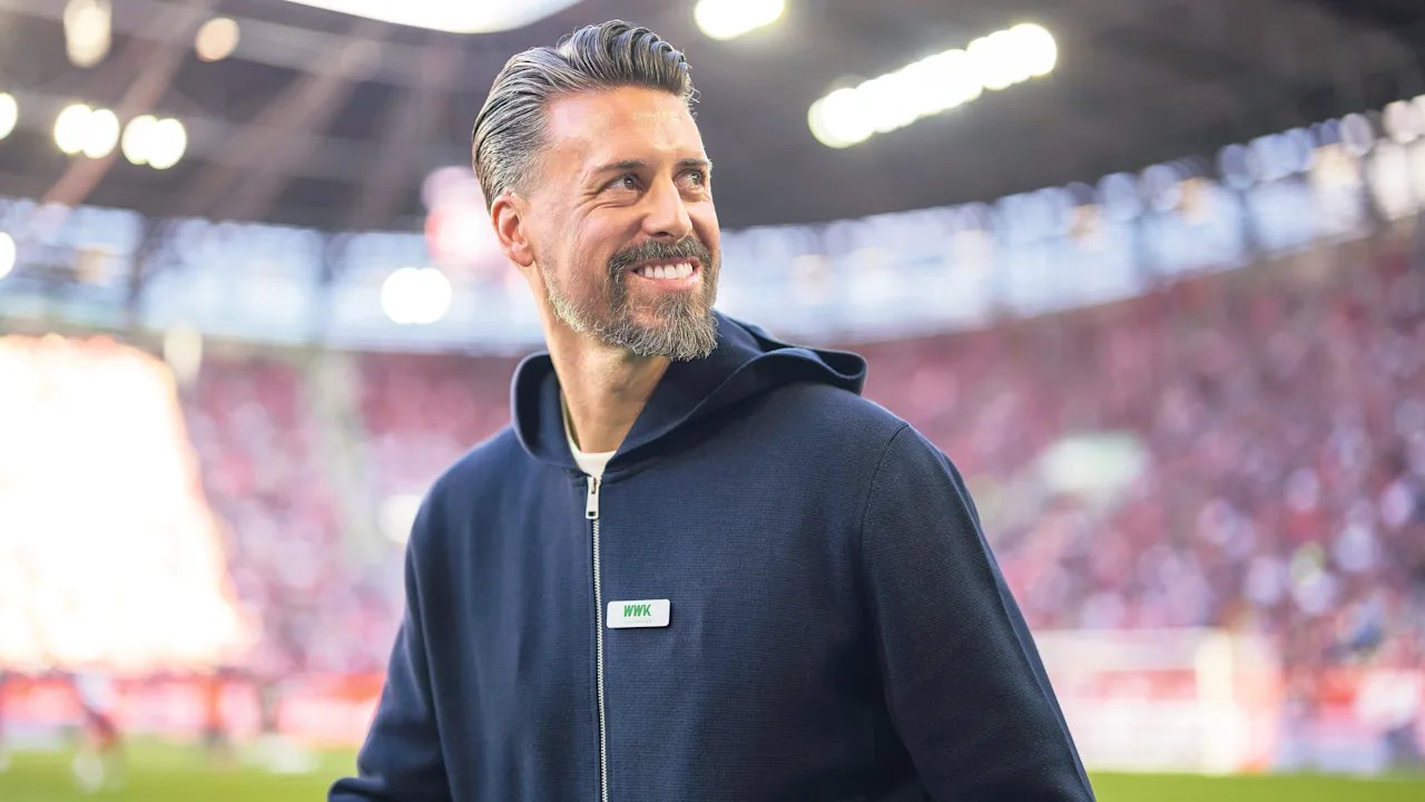 Knackiger Spruch von TV-Experte über Sandro Wagner