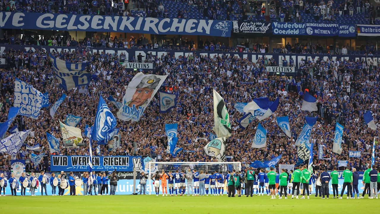Schalke stichelt gegen den BVB