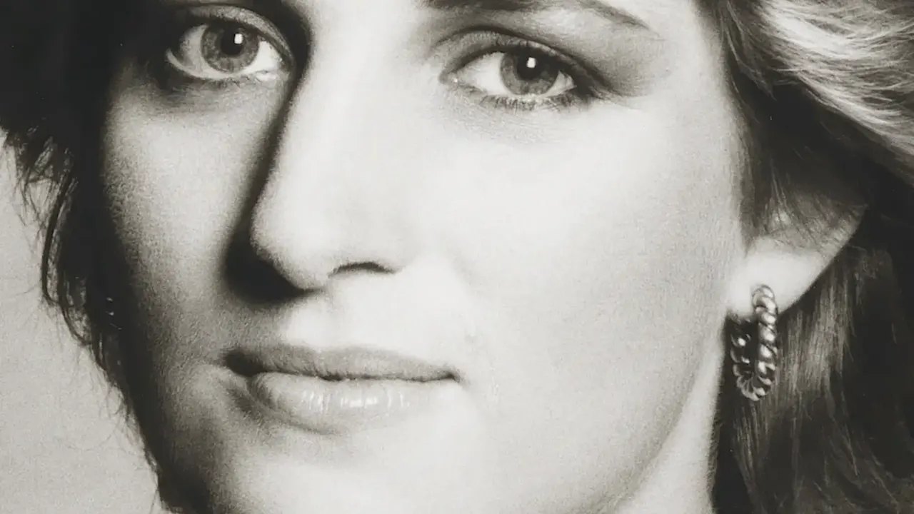 Diana-Buch von Laster geklaut!
